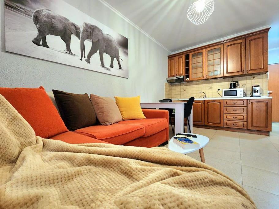 One Bd Flat Near Center With 24H Self Check In Apartment Tirana Exterior foto