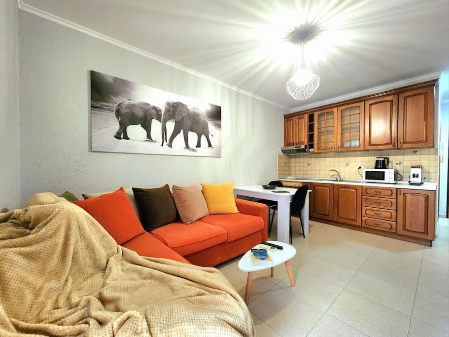 One Bd Flat Near Center With 24H Self Check In Apartment Tirana Exterior foto
